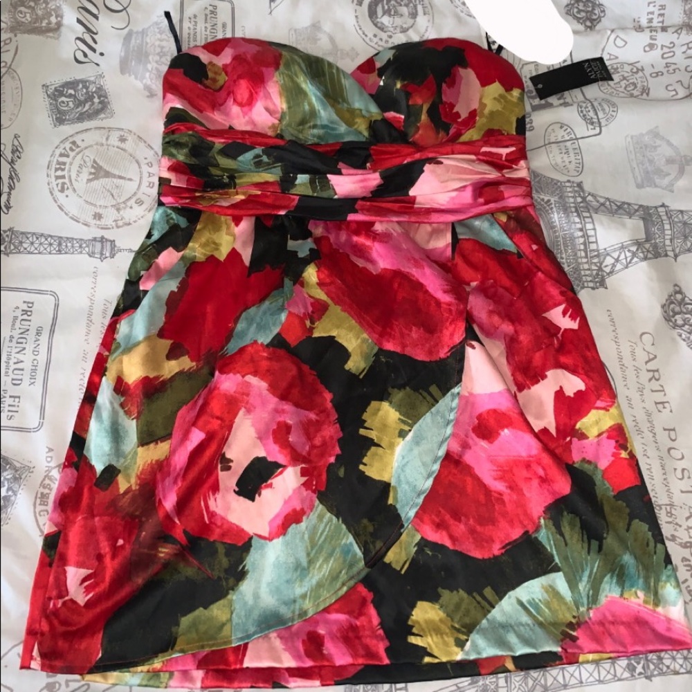 Alyn Paige Dress Size 15/16